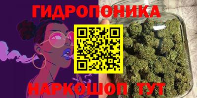 стафф Кинель
