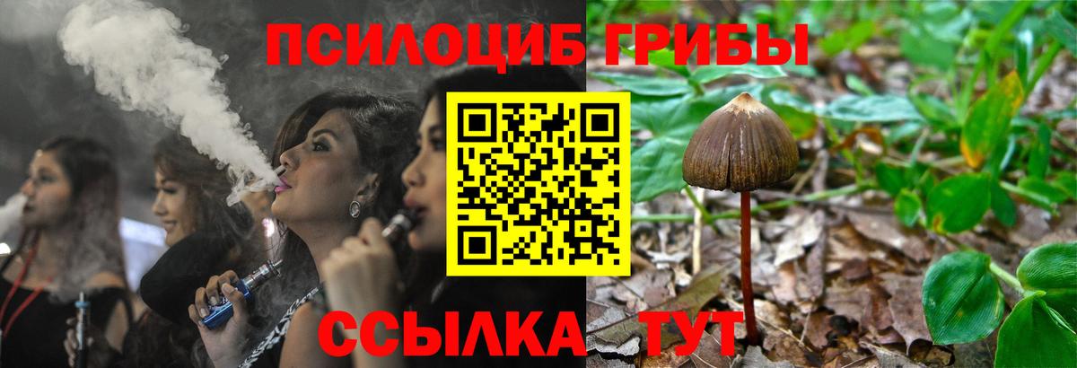 Ухта  Галлюциногенные грибы прущие грибы  Вход с VPN  Псилоцибиновые грибы GOLDEN TEACHER 